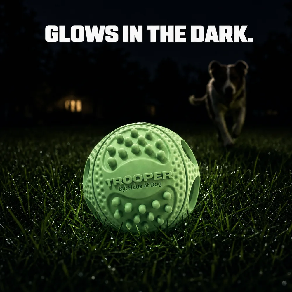 Trooper ball glowing green on a lawn at night