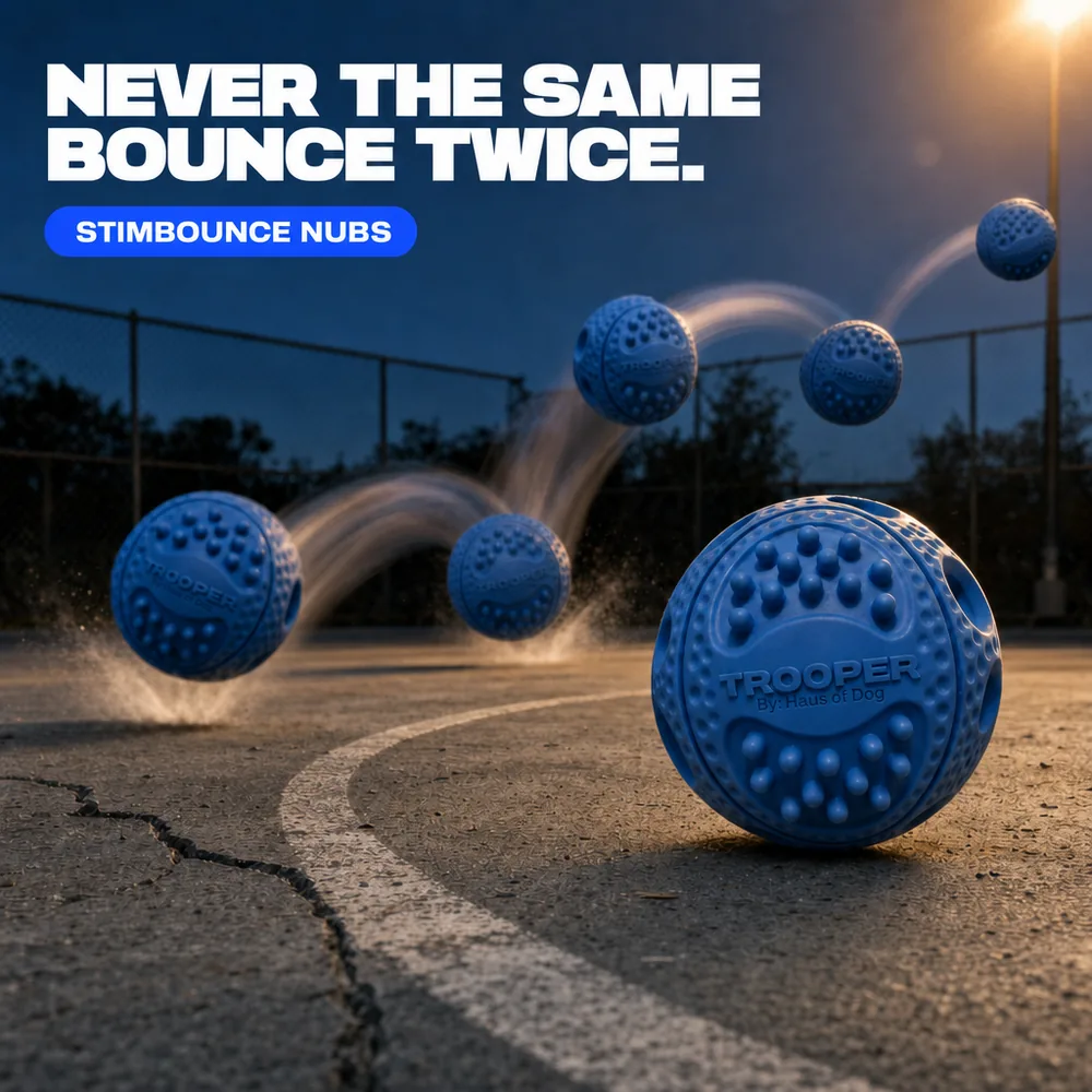 Blue Trooper ball bouncing unpredictably across a concrete court